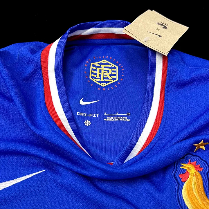 France 2024-2025 domicile Euro2024