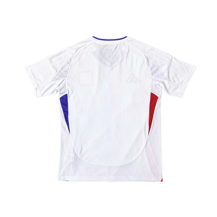 Olympique Lyonnais 2024-2025