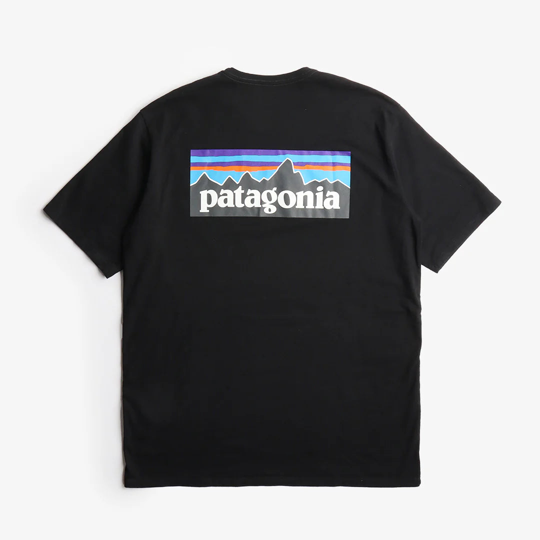 Patagonia T-shirt